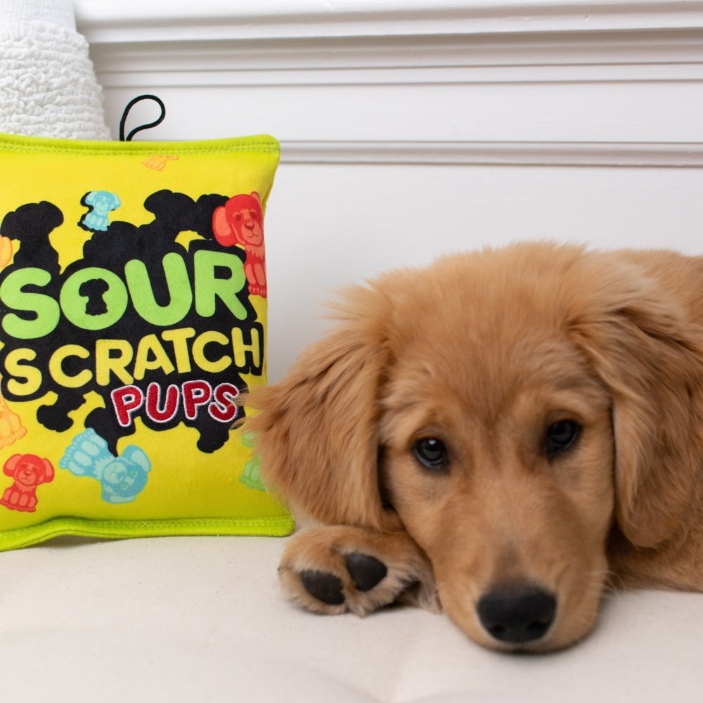 https://cdn.shopify.com/s/files/1/0621/3543/5437/products/sour-scratch-pups-double-sided-239_1024x1024.jpg?v=1660672048