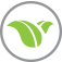 Icon of Green Leaf