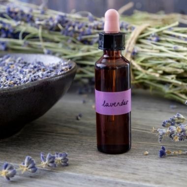 Best Essential Oils to Keep in Your Home
