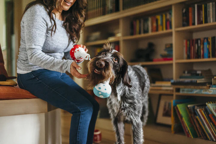 P.L.A.Y. Pet Lifestyle and You Back to School Collection Plush Dog Toy | Shortie Friends