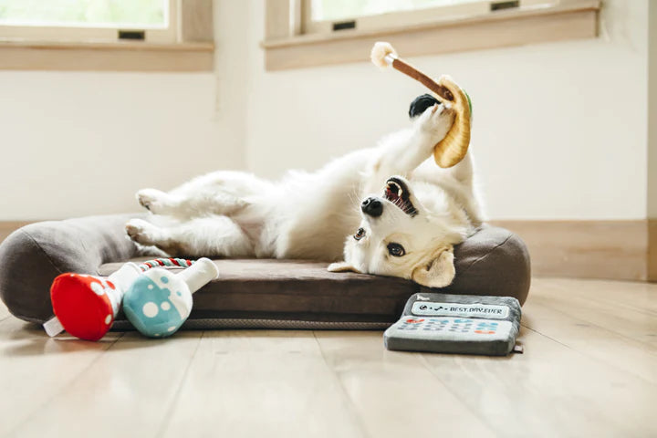 P.L.A.Y. Pet Lifestyle and You Back to School Collection Plush Dog Toy | Shortie Friends