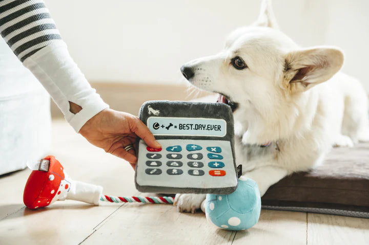 P.L.A.Y. Pet Lifestyle and You Back to School Collection Plush Dog Toy | Shortie Friends