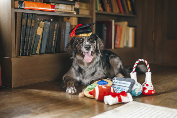 P.L.A.Y. Pet Lifestyle and You Back to School Collection Plush Dog Toy | Shortie Friends