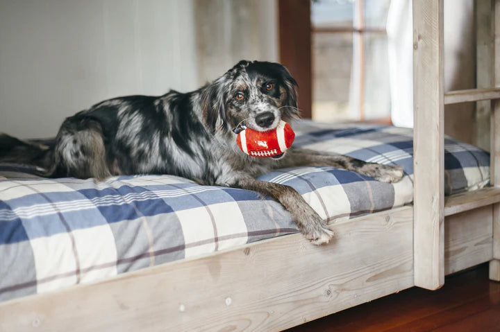 P.L.A.Y. Pet Lifestyle and You Back to School Collection Plush Dog Toy | Shortie Friends