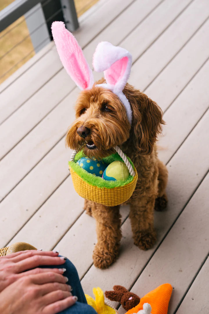 P.L.A.Y. Pet Lifestyle and You Hippity Hoppity Collection Plush Dog Toy | Shortie Friends
