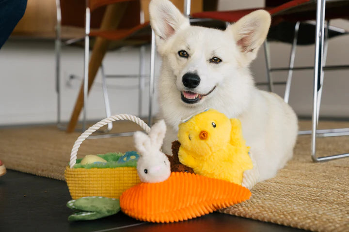 P.L.A.Y. Pet Lifestyle and You Hippity Hoppity Collection Plush Dog Toy | Shortie Friends
