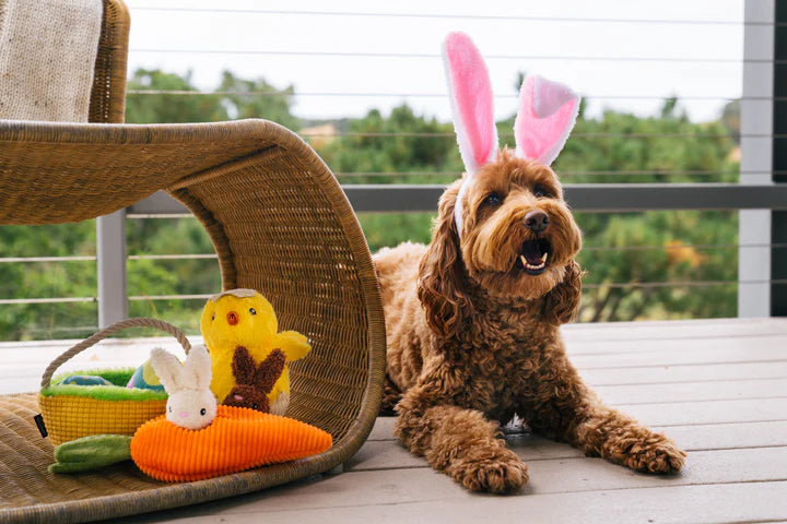 P.L.A.Y. Pet Lifestyle and You Hippity Hoppity Collection Plush Dog Toy | Shortie Friends