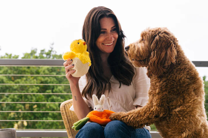 P.L.A.Y. Pet Lifestyle and You Hippity Hoppity Collection Plush Dog Toy | Shortie Friends