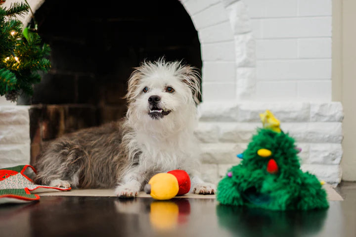 P.L.A.Y. - Pet Lifestyle and You Merry Woofmas Collection Plush Dog Toy | Shortie Friends