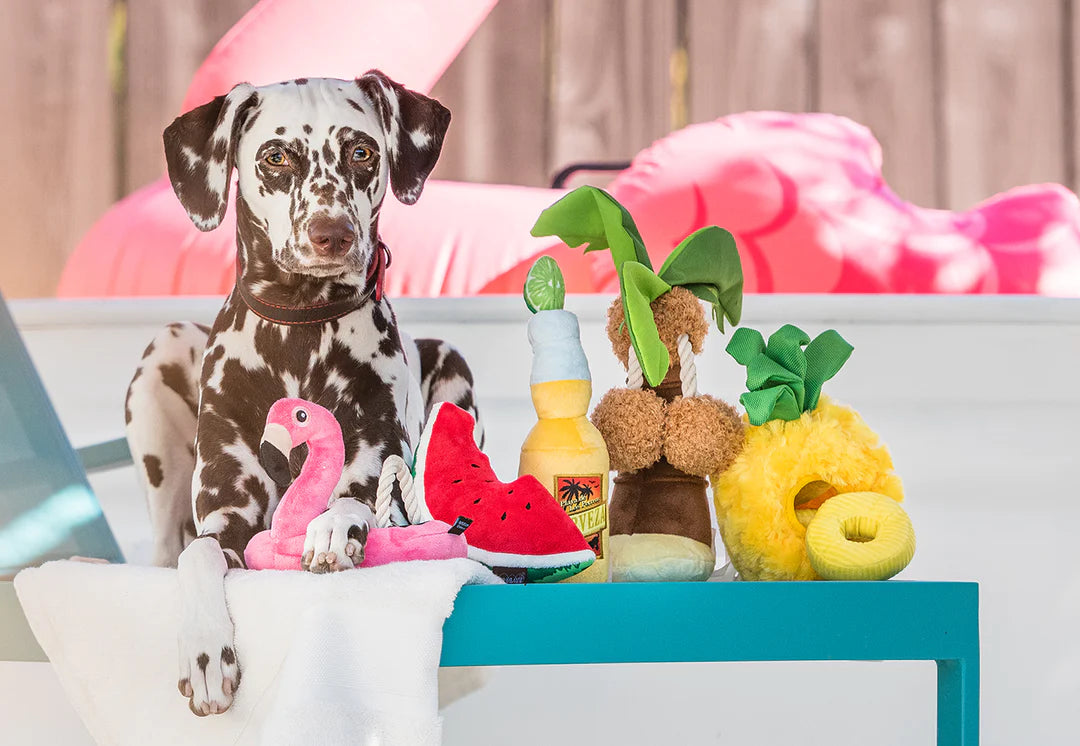 P.L.A.Y. Pet Lifestyle And You Tropical Paradise Collection