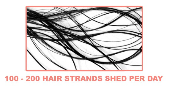 strands-1.jpg