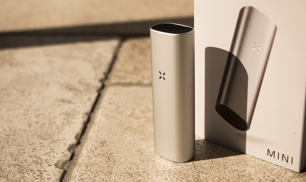 PAX Mini standing on tile with natural lighting