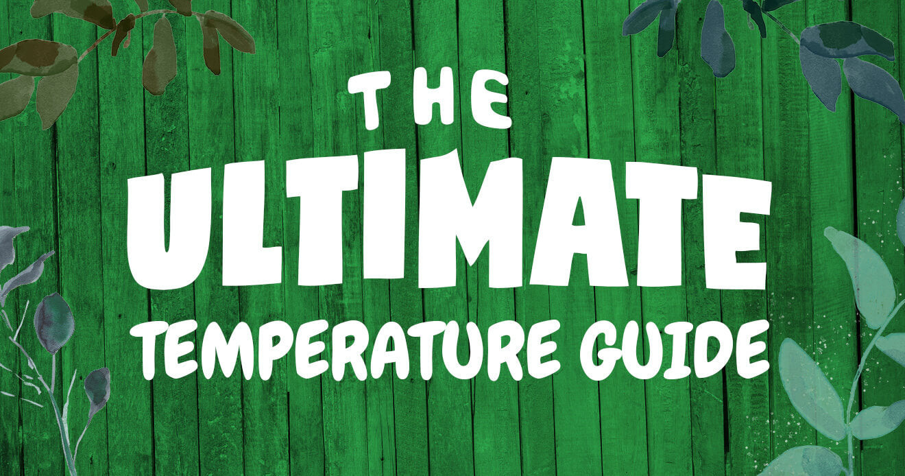 La guía de temperatura definitiva sobre un fondo verde