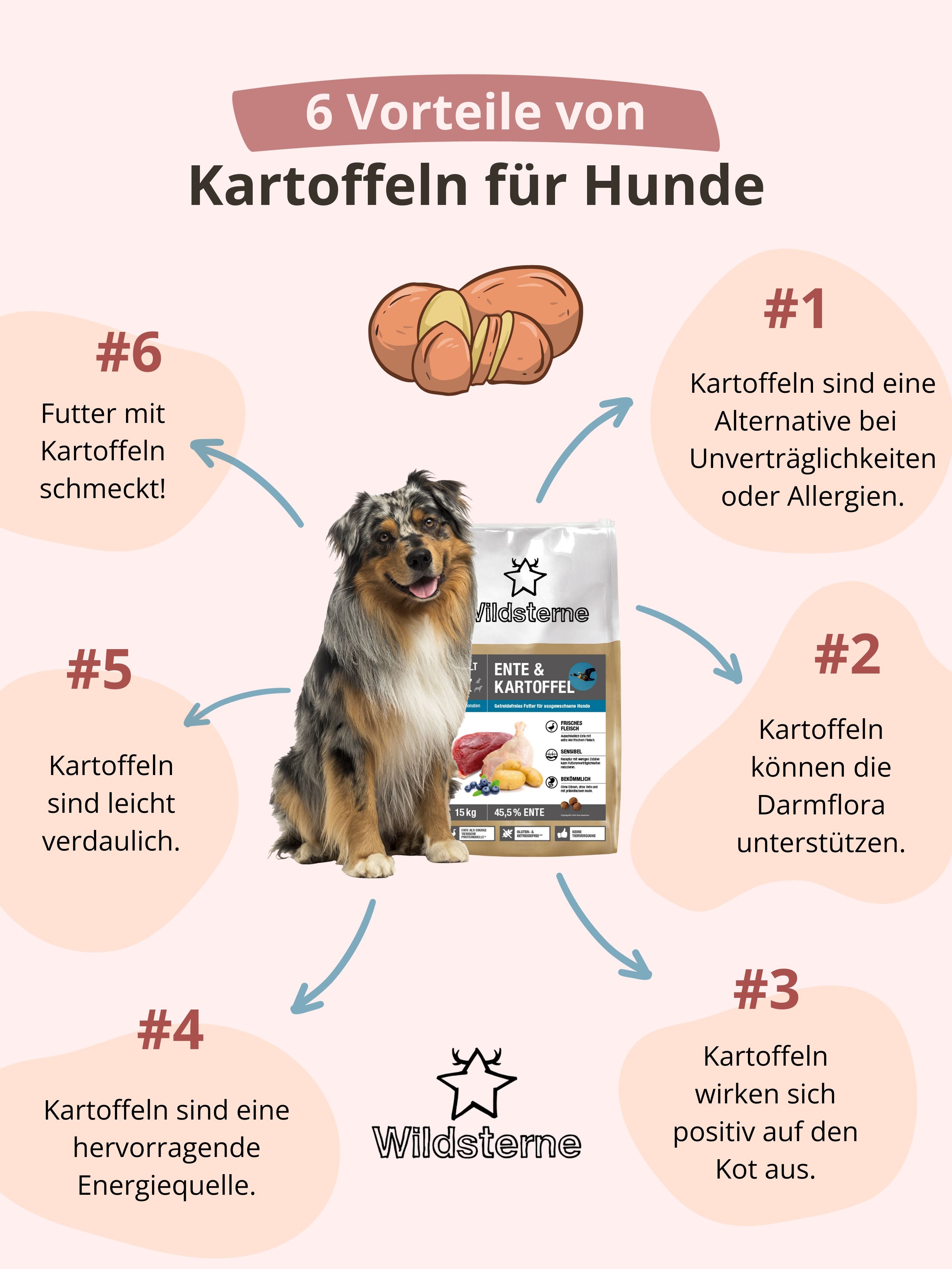 Infografik, die 6 Vorteile von Kartoffeln für Hunde erläutert.