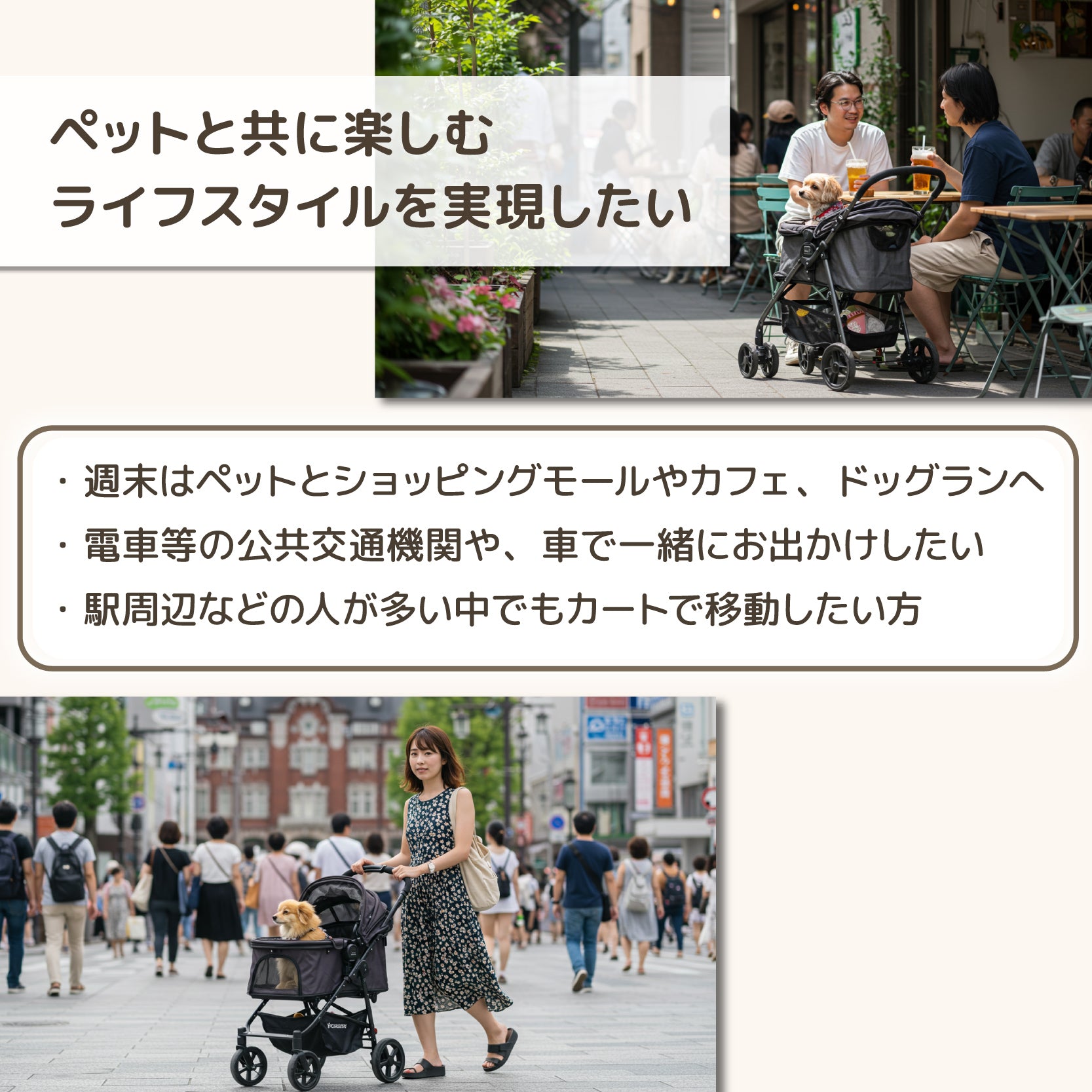 ライフスタイル