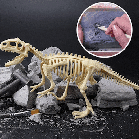 Dinosaur Fossil Kit de Escavacao de Fosseis de Dinossauros para Criancas