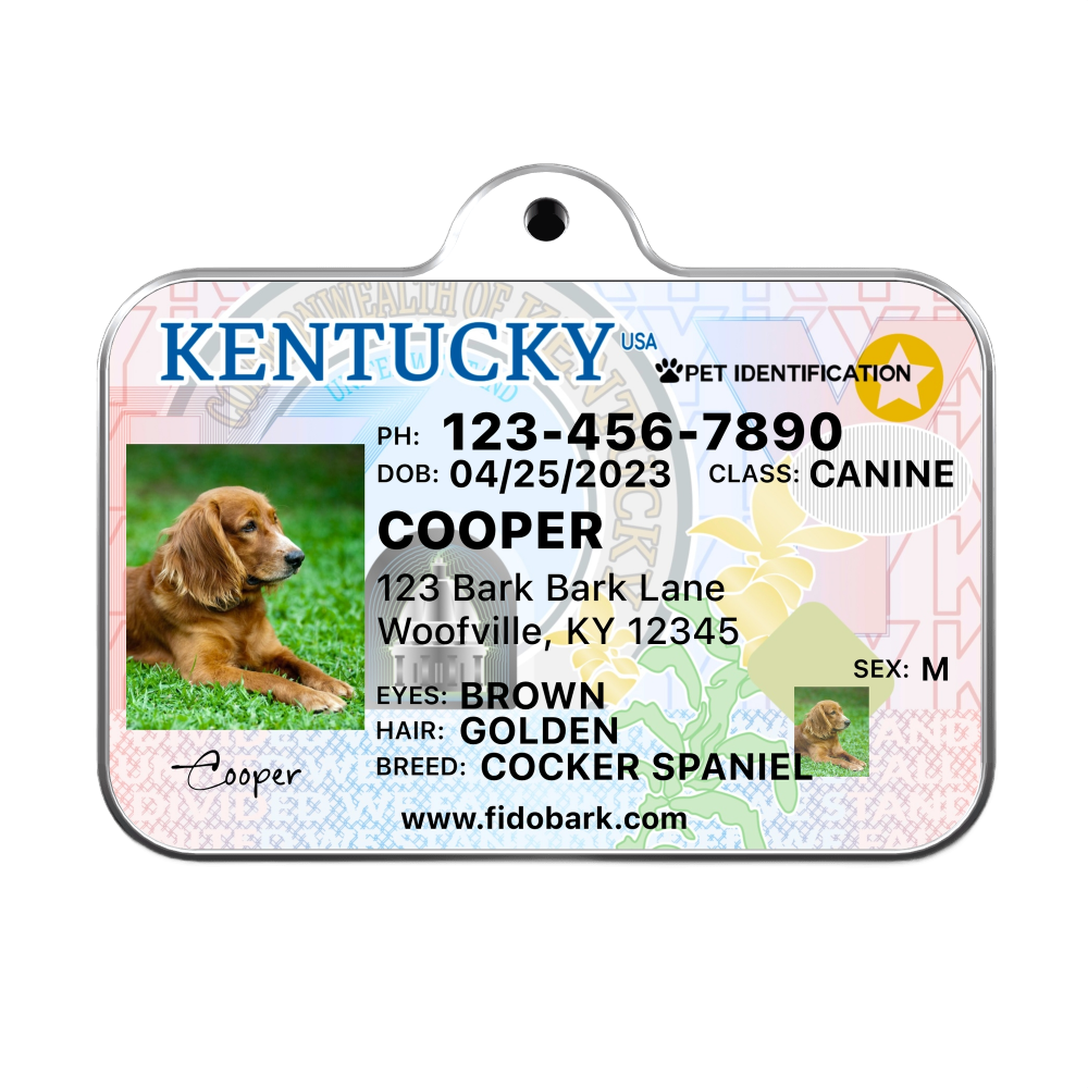 Kentucky - 6-front_8ed7a215-2c3b-4221-884f-490601ffea2a