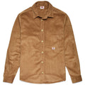 Brown Camel