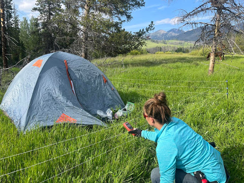 Testing the Bear Sentry electric fence in the Montana backcountry with a volt meter.