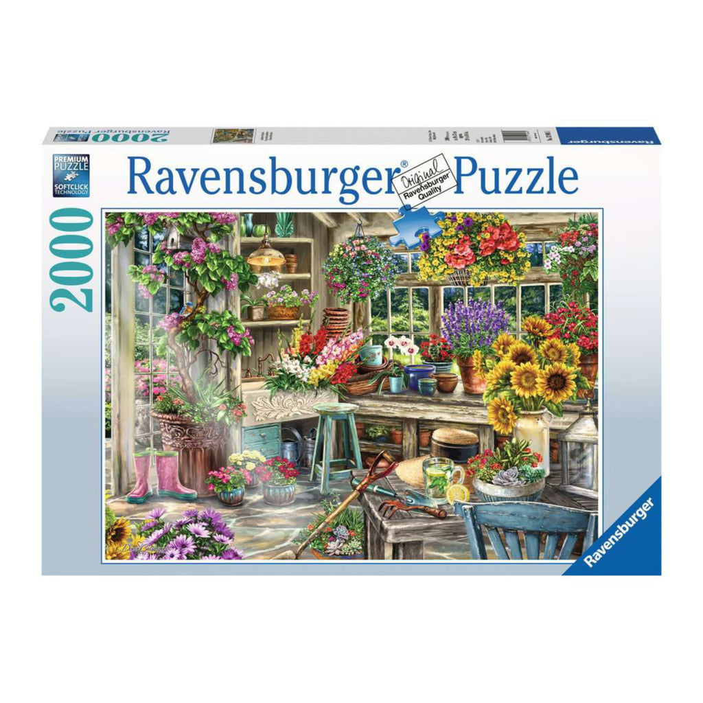 Puzzle 300 pièces XXL : Le paradis des dauphins - Ravensburger - Rue des  Puzzles