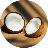 shea skin coconut oil logo