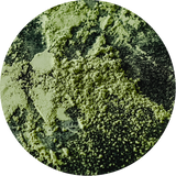 shea skin matcha green tea powder logo