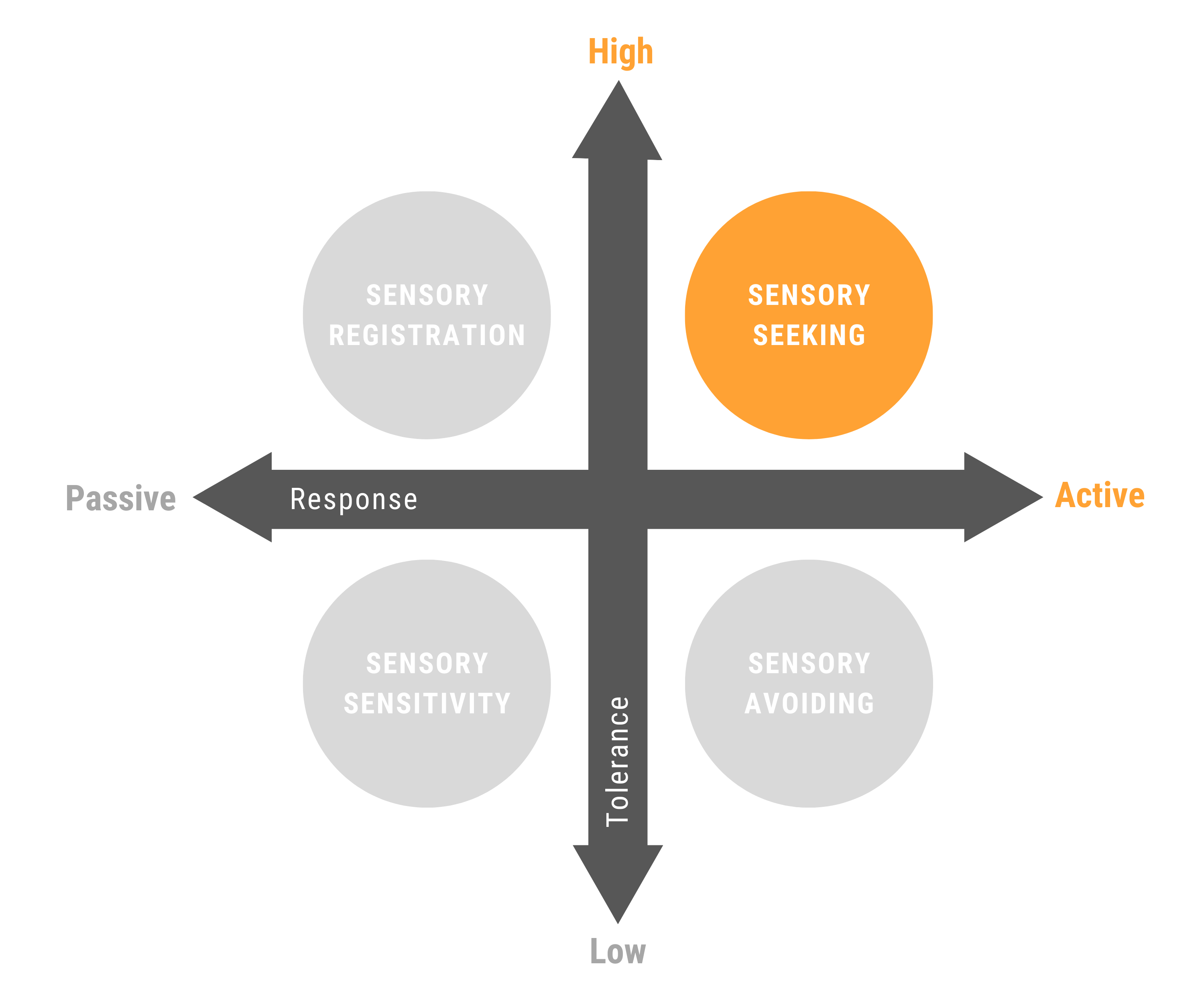 Sensory Seeking Profile Chart