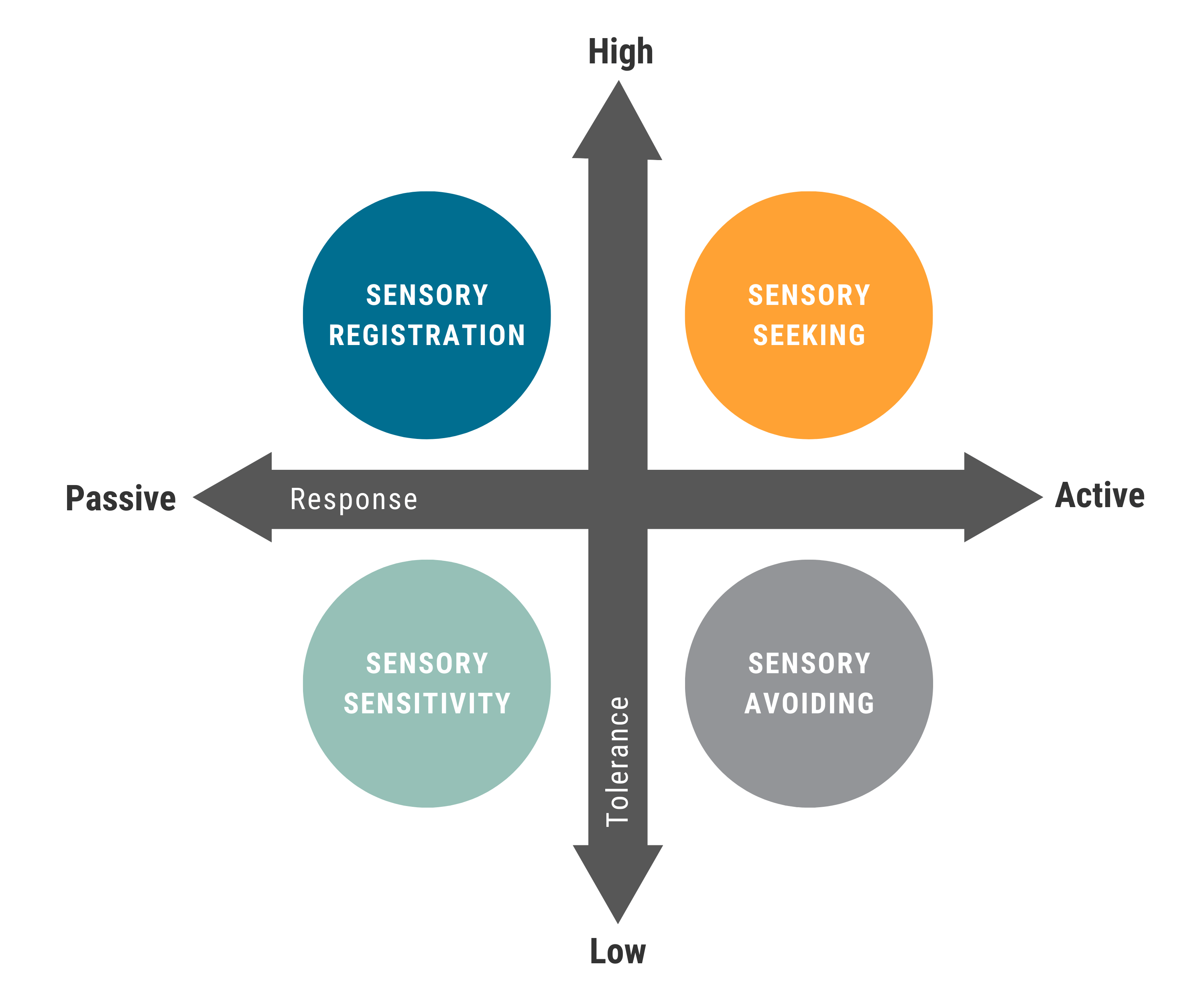 Sensory Profile chart with seeking, sensitivity, avoiding, and registration