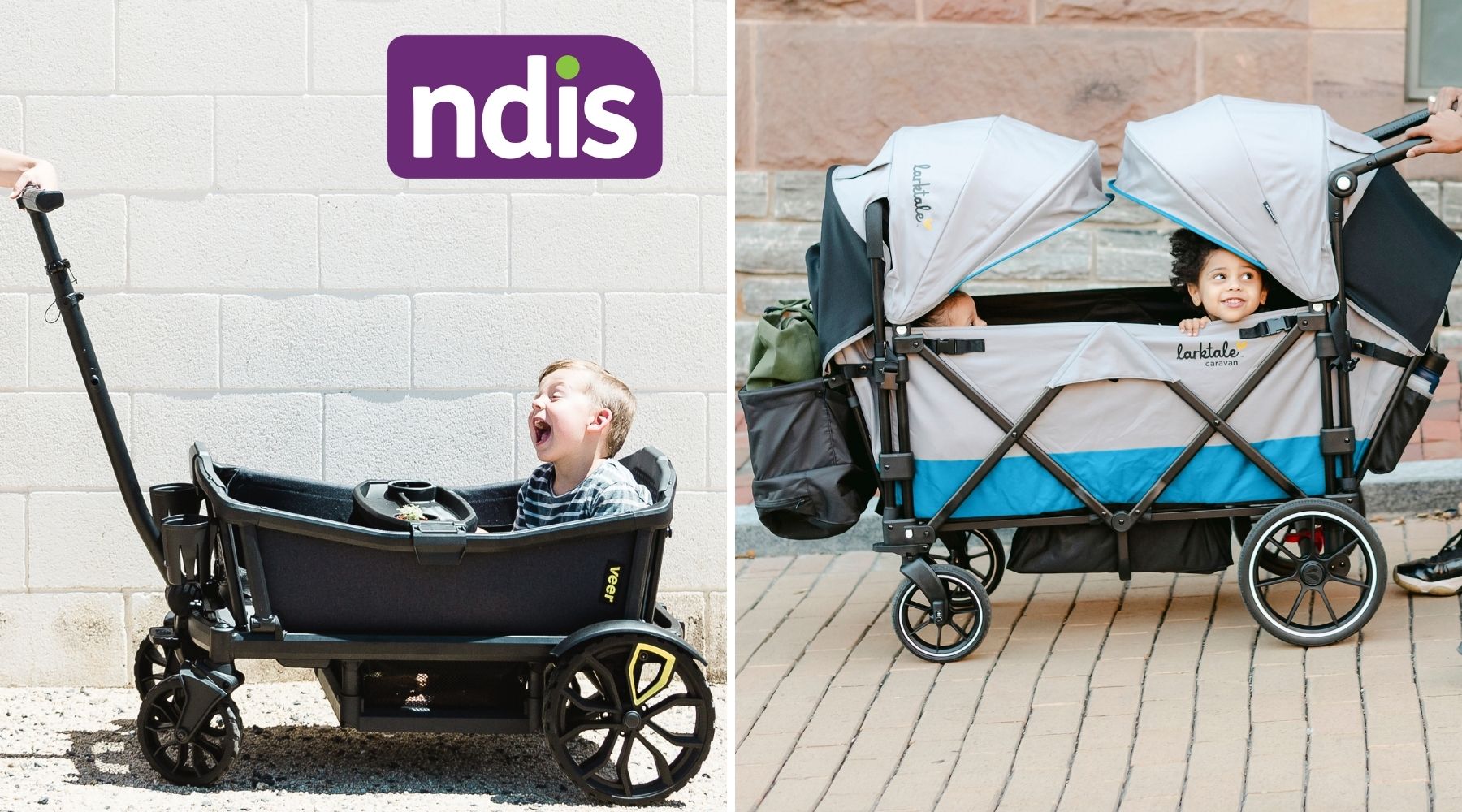 NDIS Larktale Wagons Australia