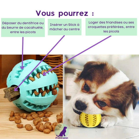 brosse-a-dent-chien-jouet