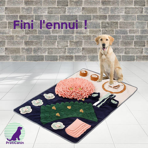 tapis-de-fouille-pour-chien-intelligent-ludique