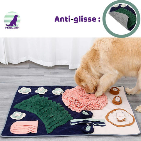 tapis-de-fouille-chien-fait-maison