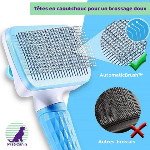 brosse-poil-chien