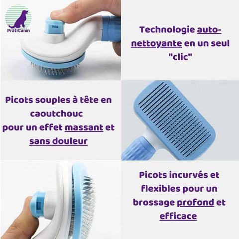 brosse-chien