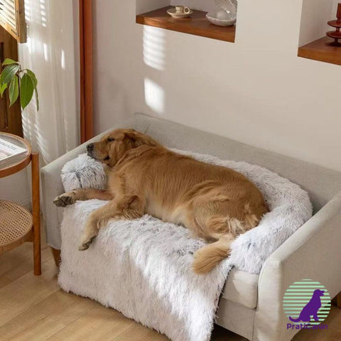 coussin-chien-lavable-en-machine