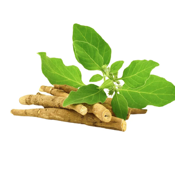 यौनशक्ति बढ़ाने के लिए क्या खाना चाहिए, यौनशक्ति बढ़ाने के अचूक उपाय, पौरुष शक्ति बढ़ाने के लिए क्या खाना चाहिए