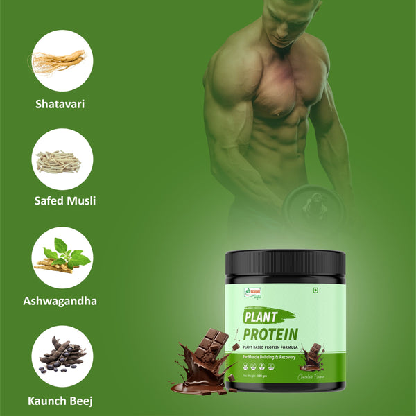 Plant Protein Powder