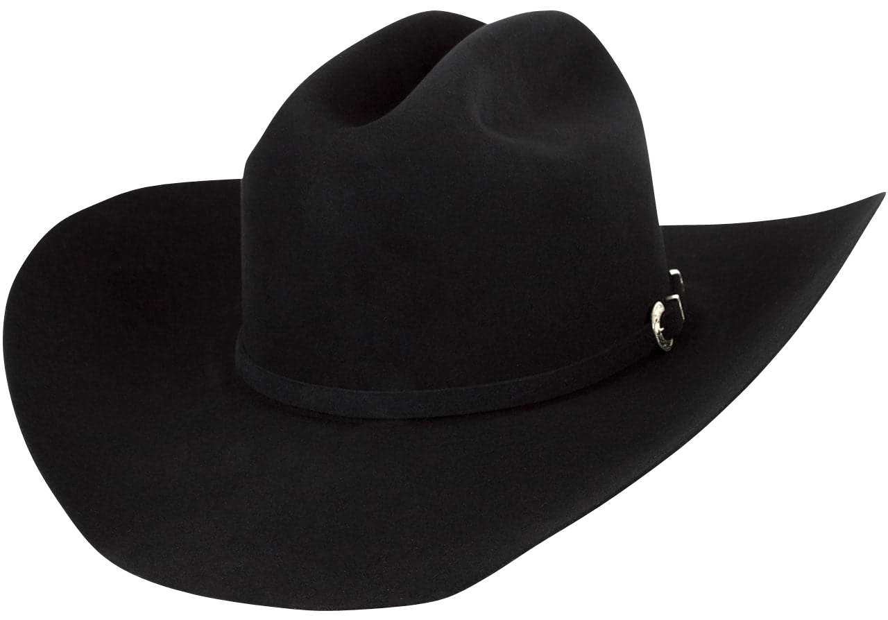 Stetson 3X Hutchins Felt Hat | Pinto Ranch 7 1/2