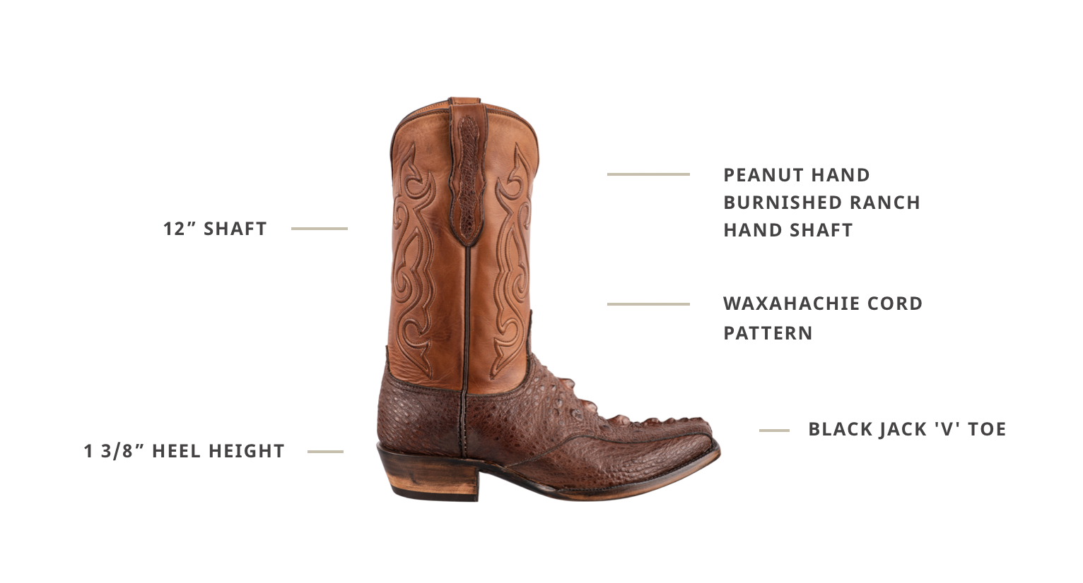 Black Jack Men's Exclusive Brown Snapping Turtle Cowboy Boots | Pinto Ranch