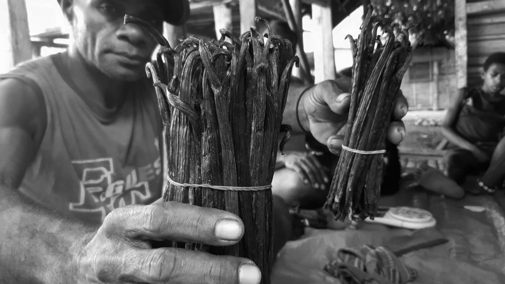 A man from Papua New Guinea, holding vanilla beans