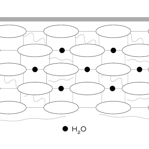 Occlusives Diagram