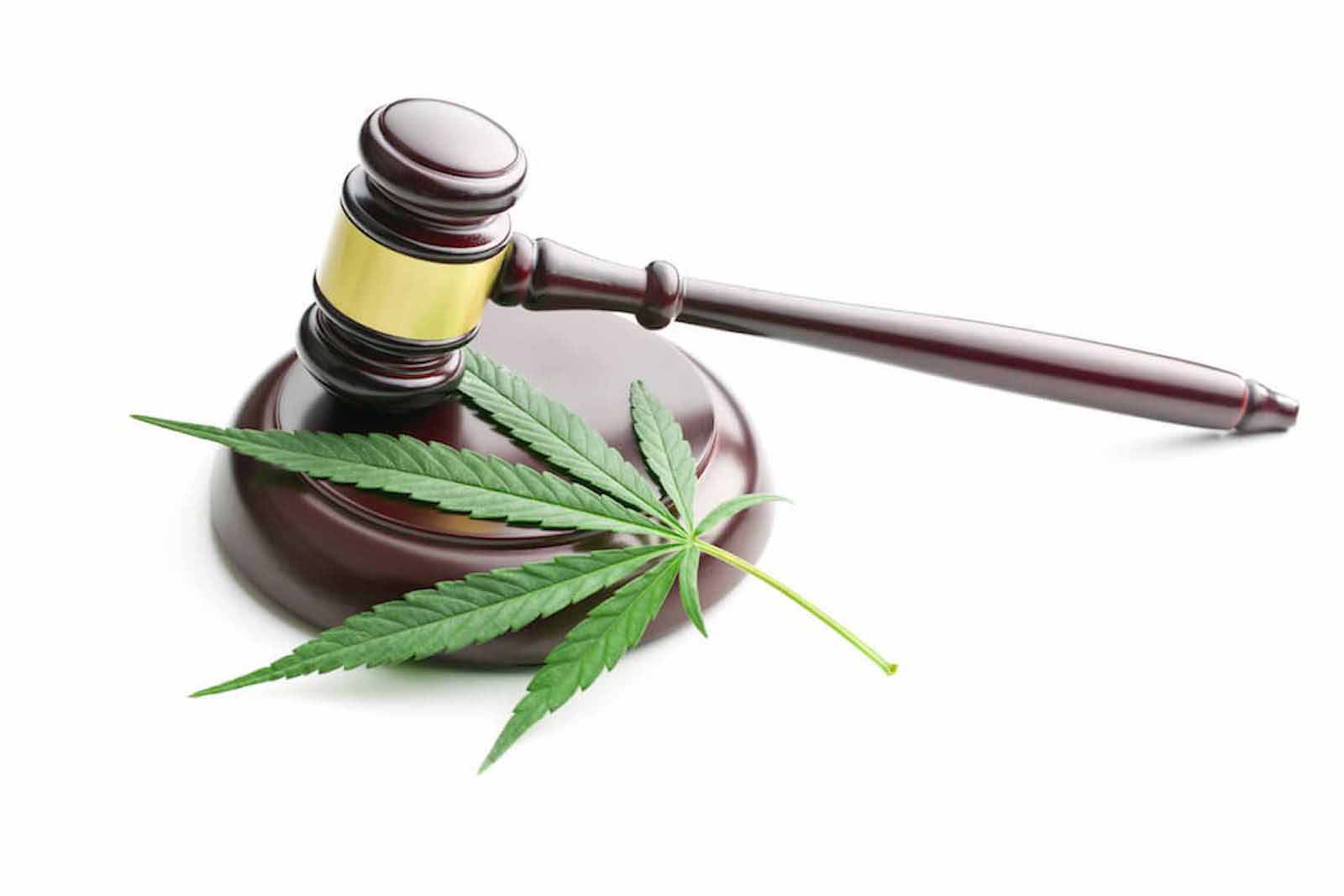 Cannabis Legalisierung belastet Gerichte