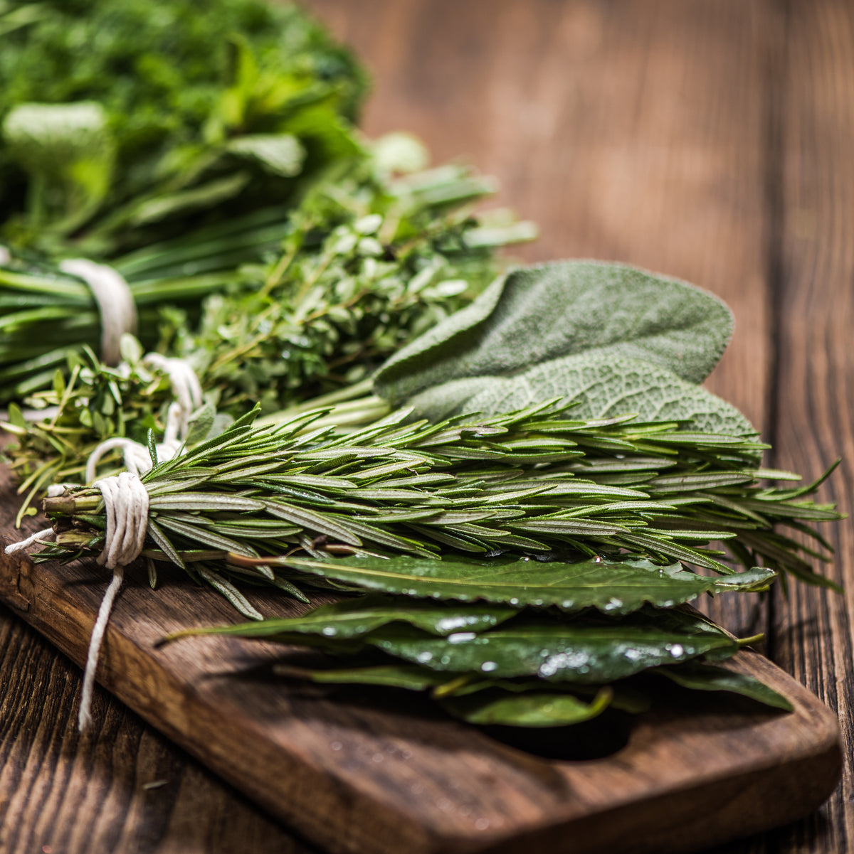 mix of Sicilian herbs