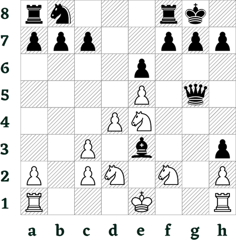 Inspired by chess 960, I created a new chess variant called chess