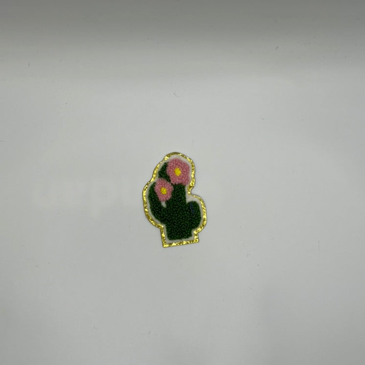 Small Cactus