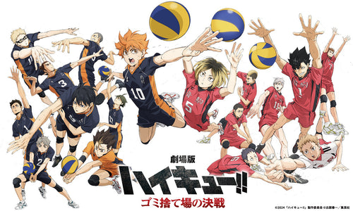 Haikyu!! Anime Figures & Goods - Doki Doki Land