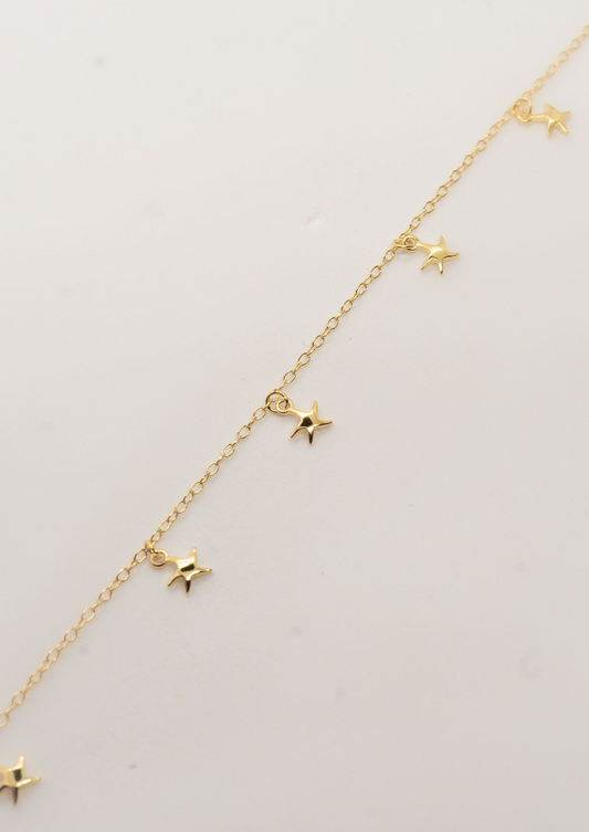 – Aka okidoki-jewelry Anklet