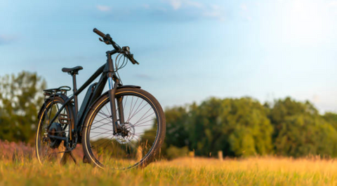 Peaceful bike ride in nature.