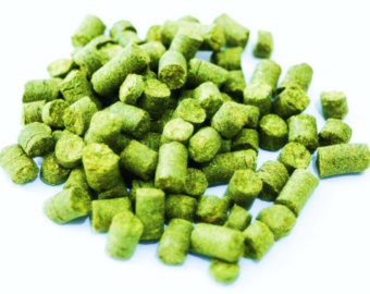 Motueka 100G Humle Pellets (7.4%) 2023