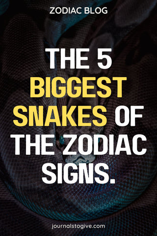The biggest snakes of the zodiac signs 1